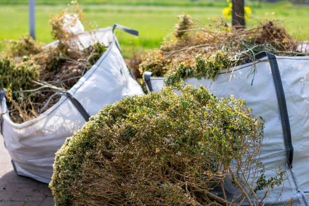 Best Professional Junk Removal  in Deer Park, TX